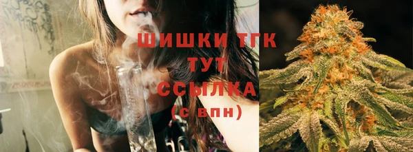 дживик Переславль-Залесский