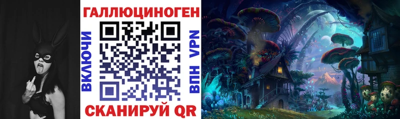 Псилоцибиновые грибы MAGIC MUSHROOMS  наркота  маркетплейс как зайти  Княгинино 